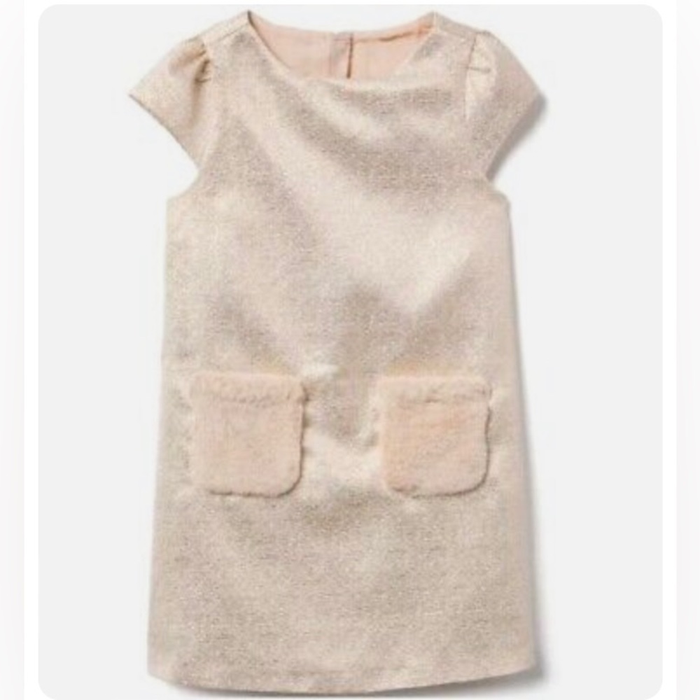 Gymboree dress